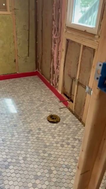 Bath remodel — demo & tile prep